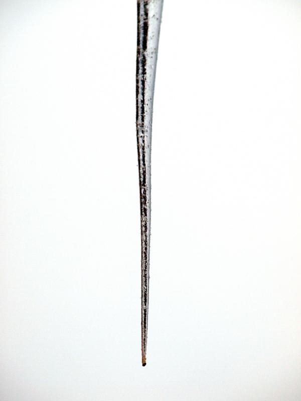 stalagtique005
