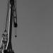 grue-girafe (kran-Girafe)
