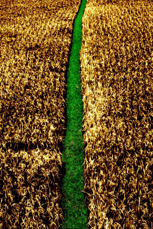 chemin