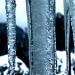 stalagtique016