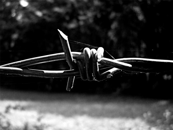 limite (Grenzwert)