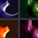 tableau 009