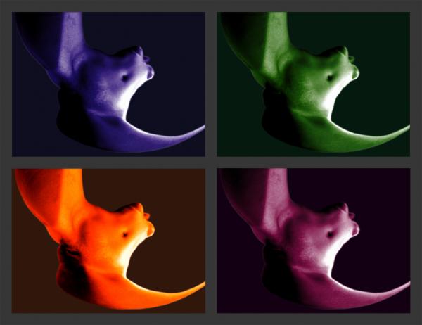 tableau 009