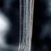 stalagtique009