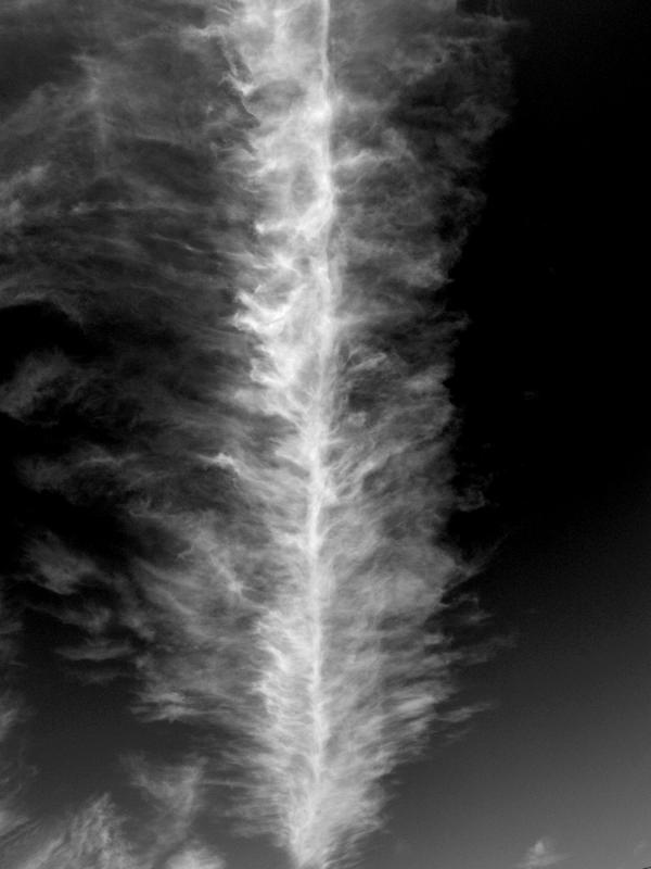 plume dans le ciel